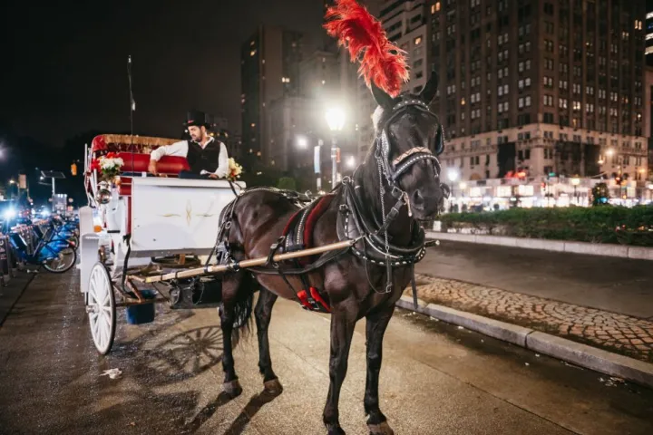 a man riding a horse drawn carriage on a city street