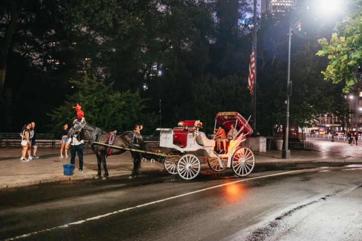 a man riding a horse drawn carriage on a street
