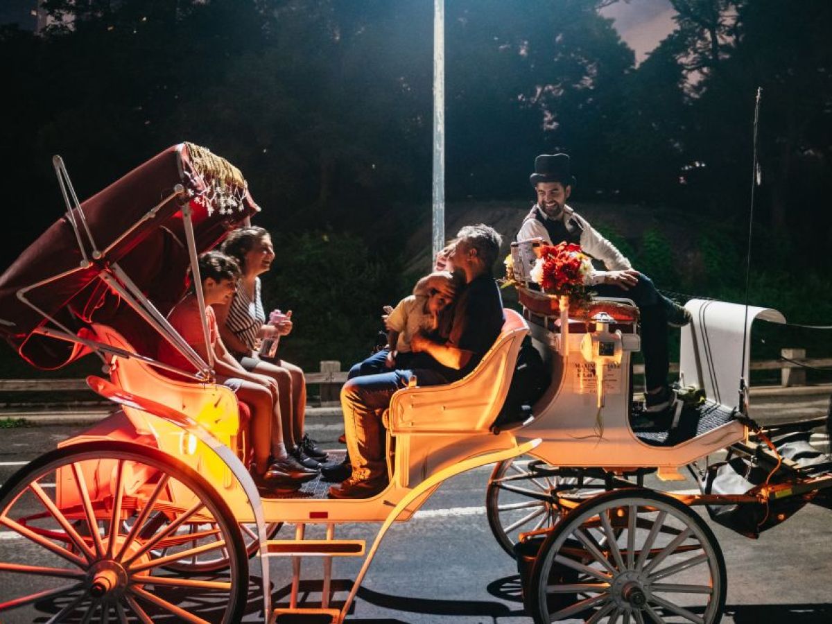 a man riding a horse drawn carriage