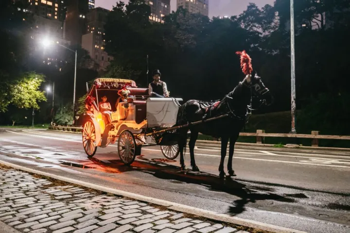 a man riding a horse drawn carriage