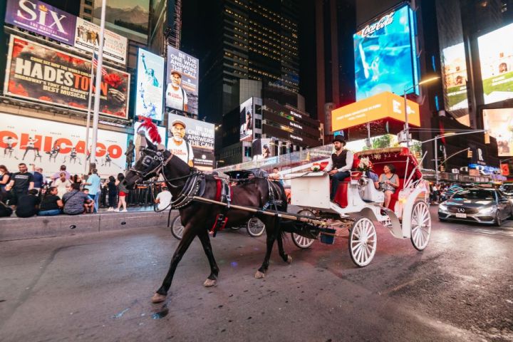 a person riding a horse drawn carriage on a city street