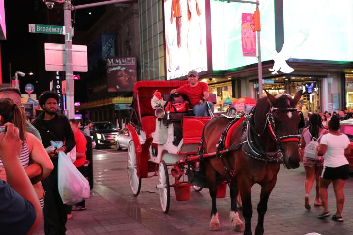 Chariot in Time Square