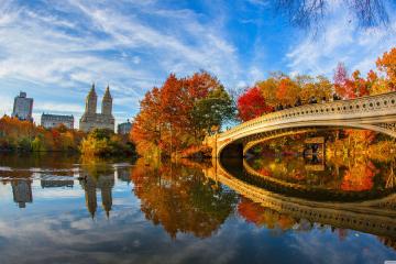 A bridge in Central Park