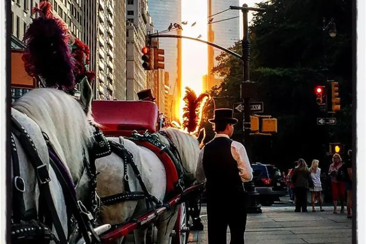 Carriage in the city