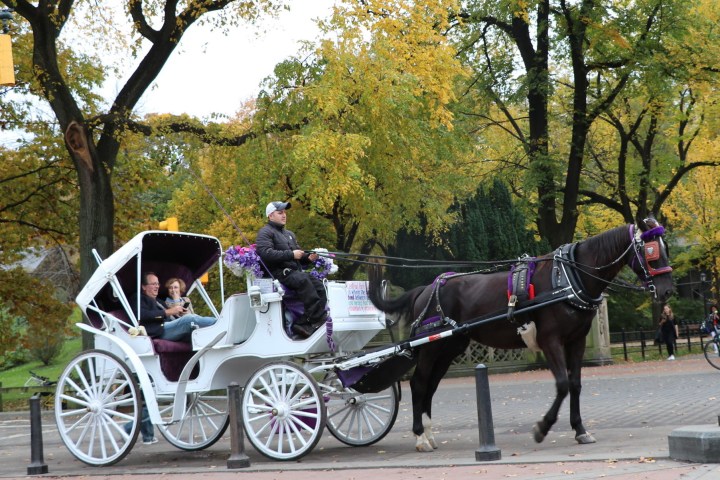 couple in carriage