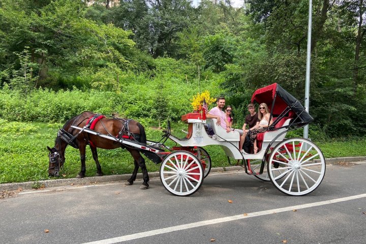 a close up of a horse drawn carriage