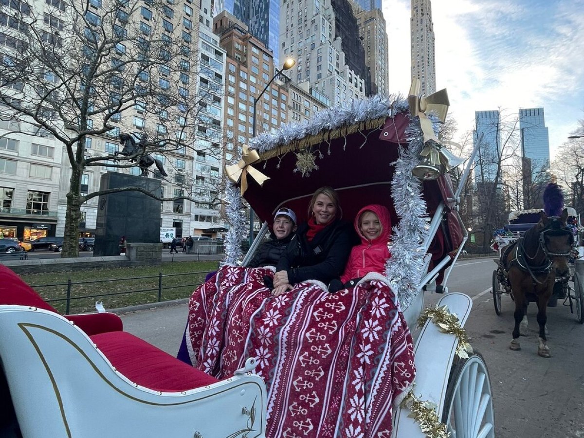 a close up of a horse in a city