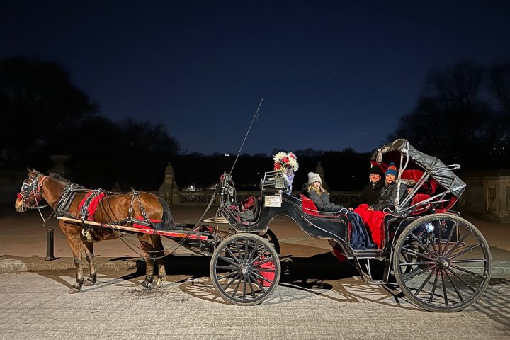 a close up of a horse drawn carriage