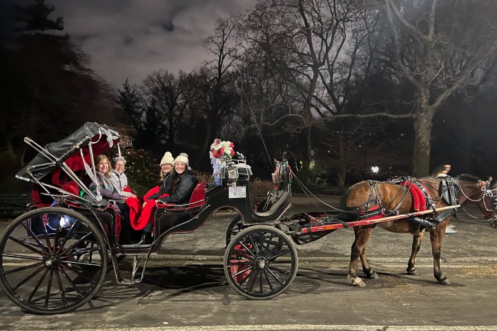 a close up of a horse drawn carriage