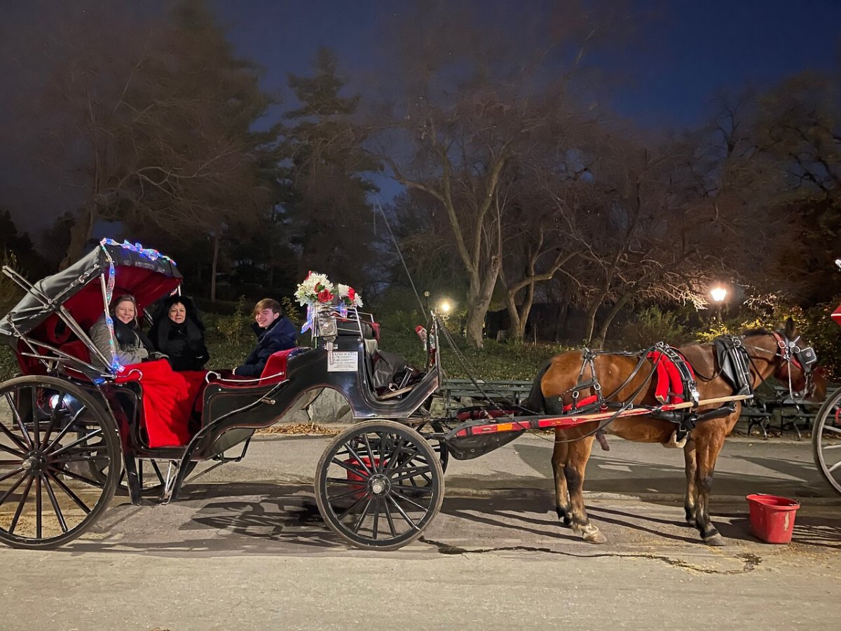 a man riding a horse drawn carriage