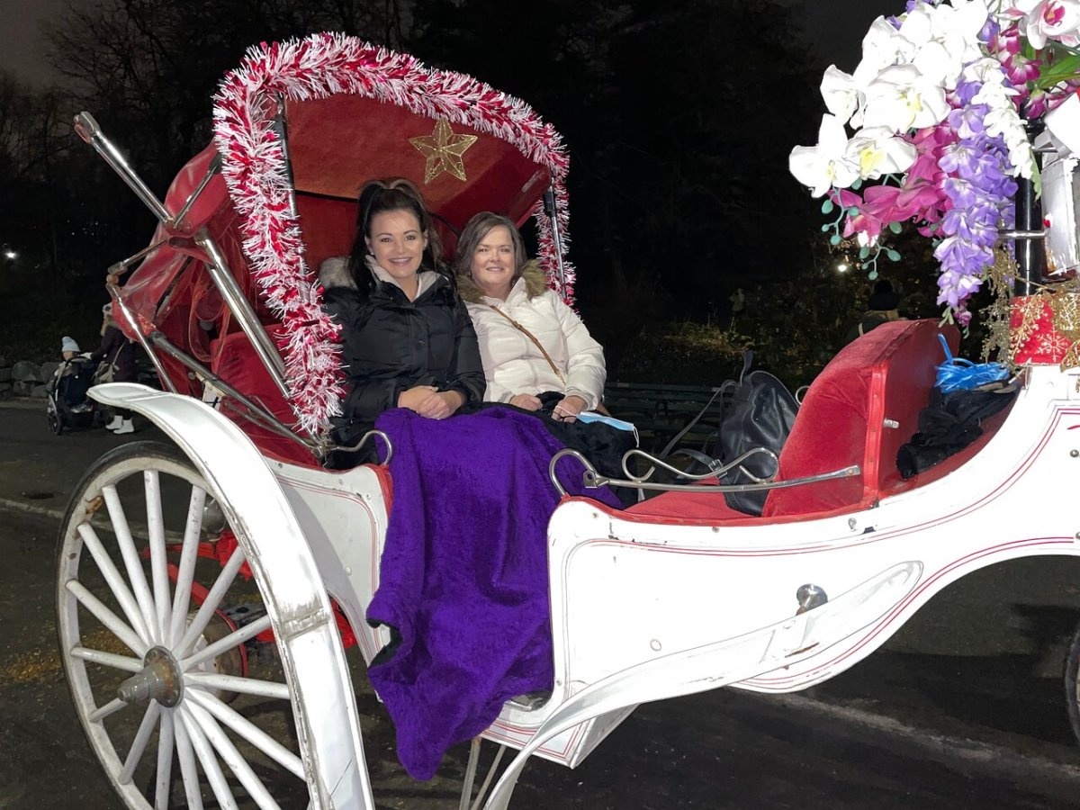 a woman sitting on a horse drawn carriage