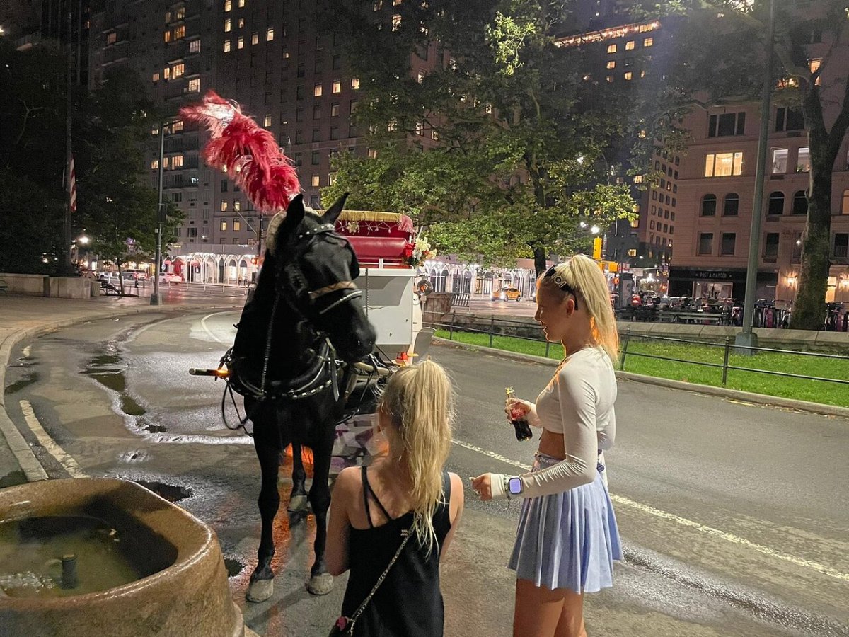 a person riding a horse in a street