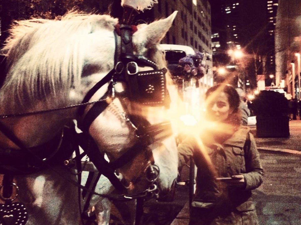 a group of people standing next to a horse
