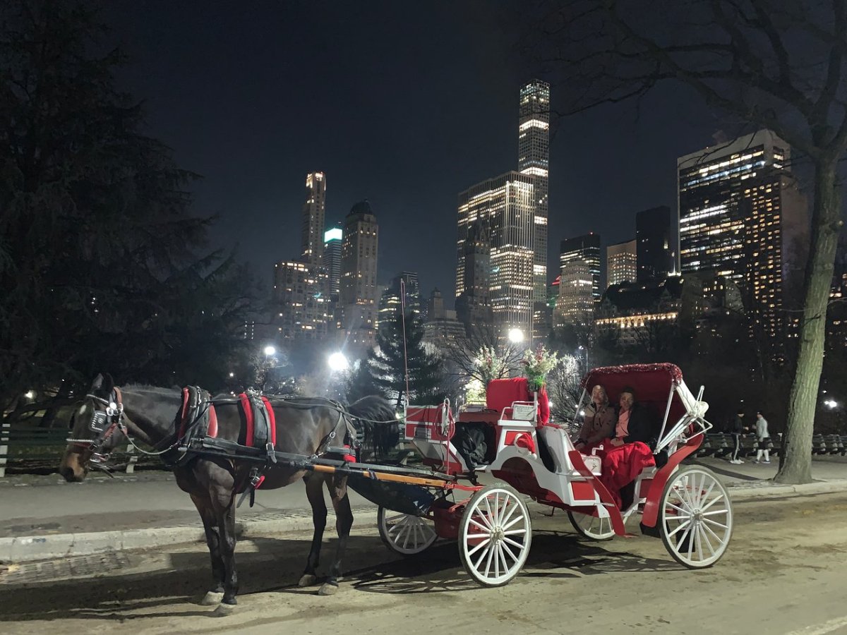a man riding a horse drawn carriage