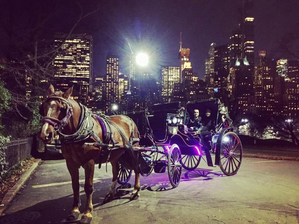 A carriage at night