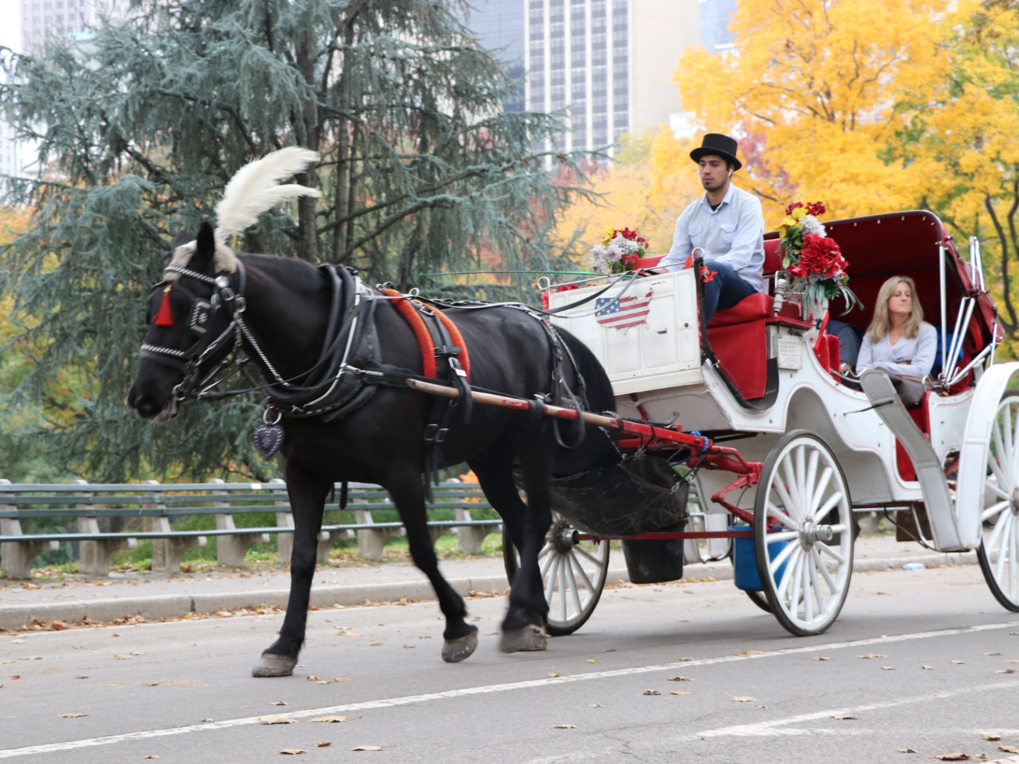 A couple on a charriot