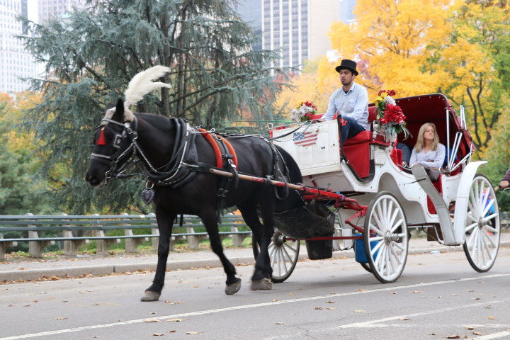 A couple on a charriot