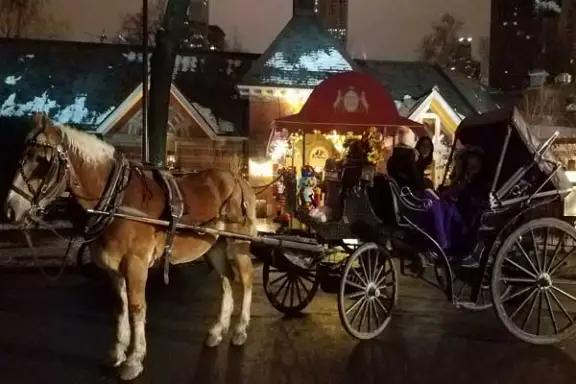 a close up of a horse drawn carriage
