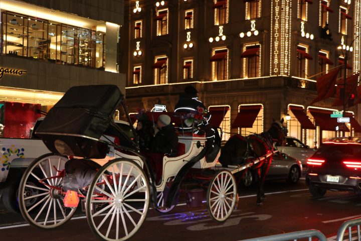 a person riding a horse drawn carriage on a city street