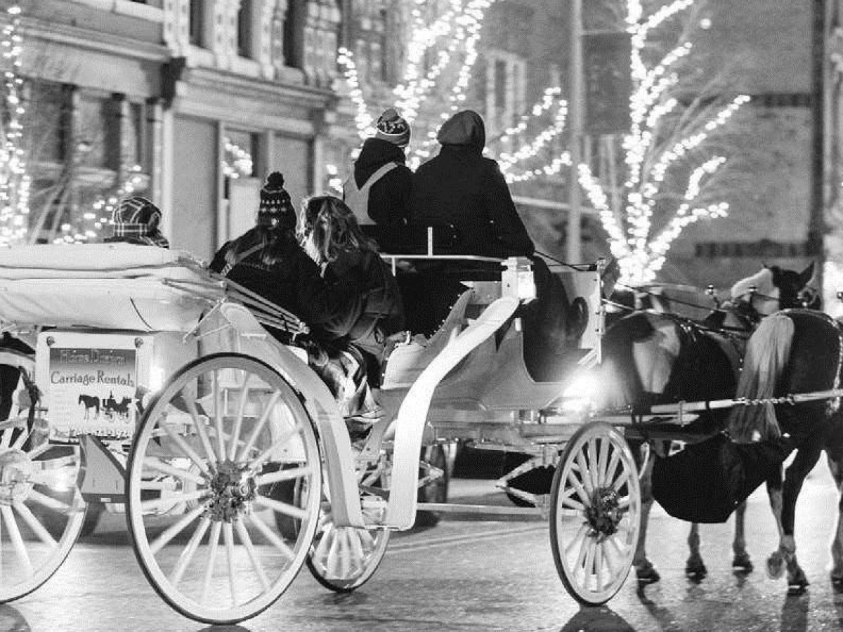 a person riding a horse drawn carriage