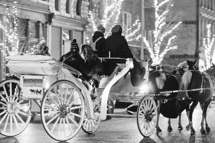 a person riding a horse drawn carriage