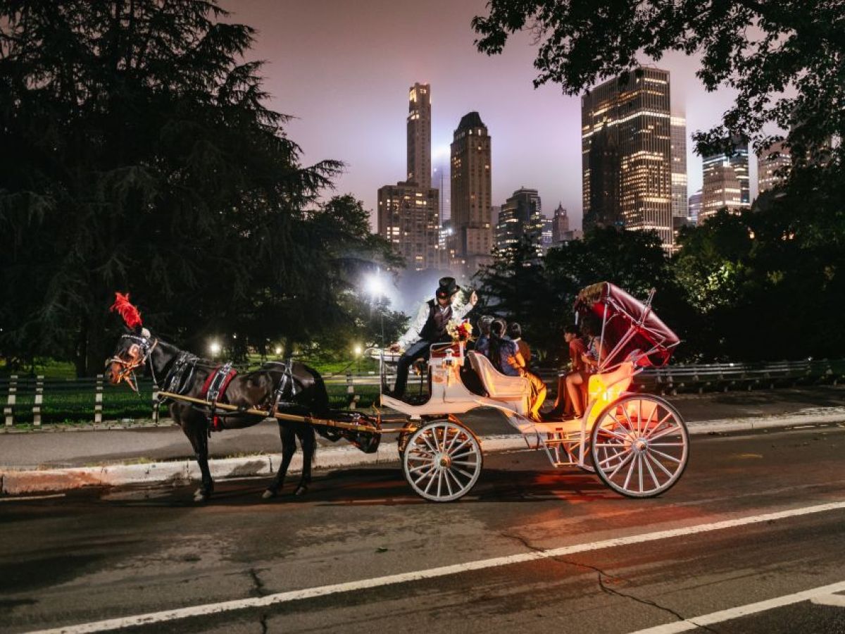 a man riding a horse drawn carriage on a city street