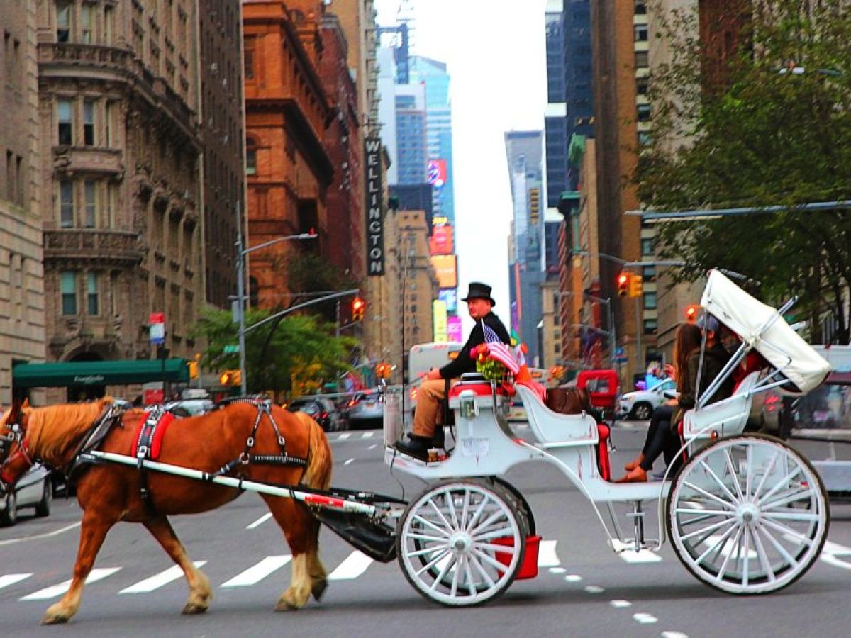 a man riding a horse drawn carriage on a city street