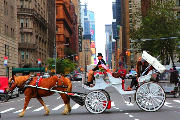 a man riding a horse drawn carriage on a city street