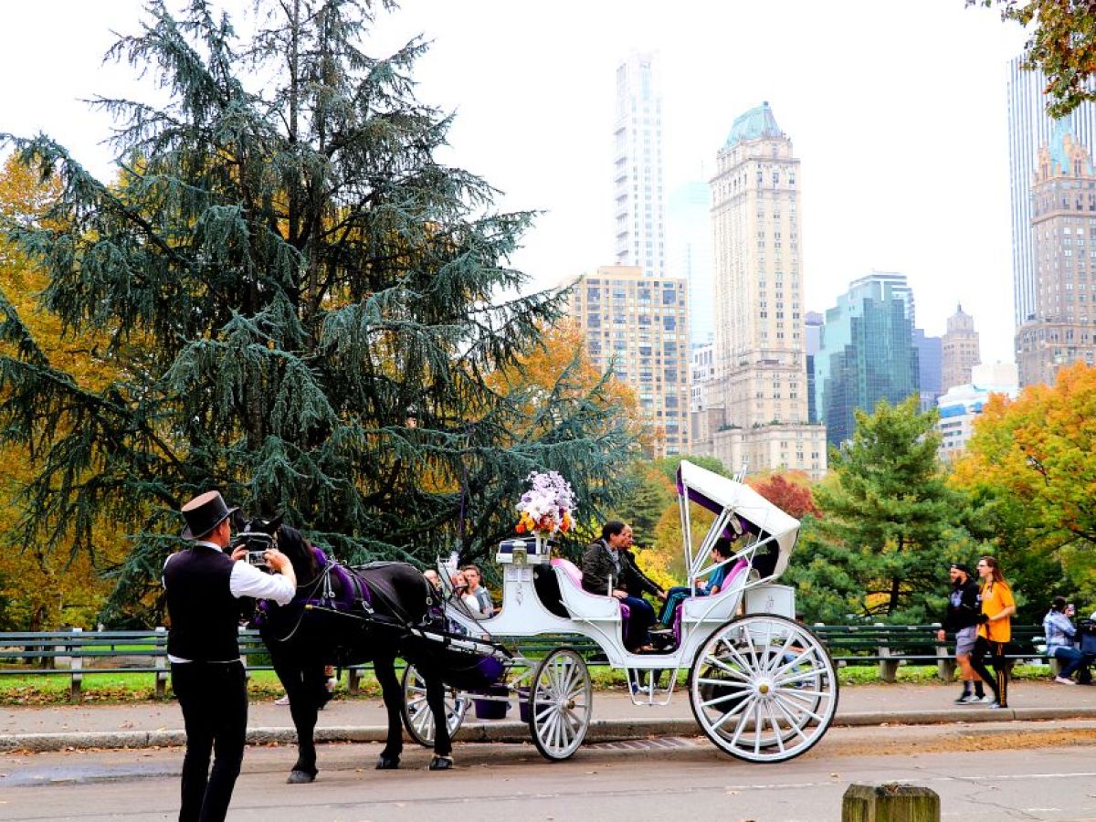 a group of people riding on the back of a horse drawn carriage