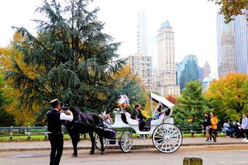 a group of people riding on the back of a horse drawn carriage