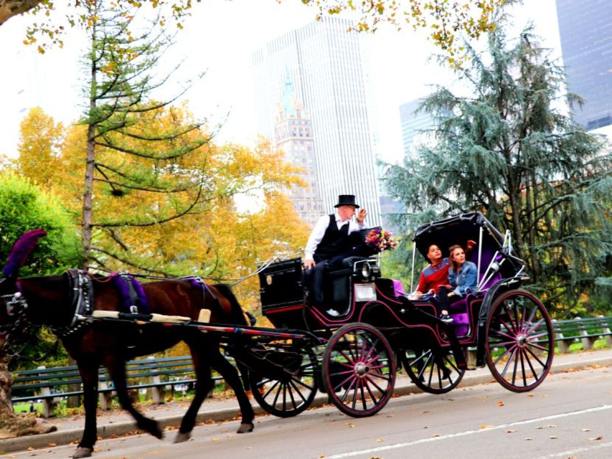 a man riding a horse drawn carriage