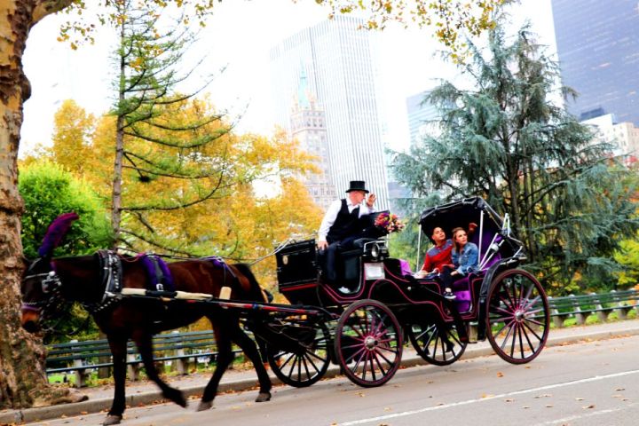 a man riding a horse drawn carriage
