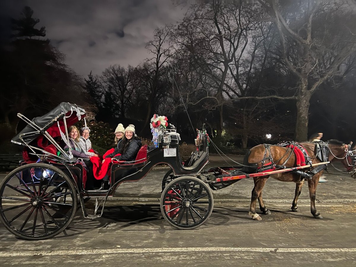 a close up of a horse drawn carriage
