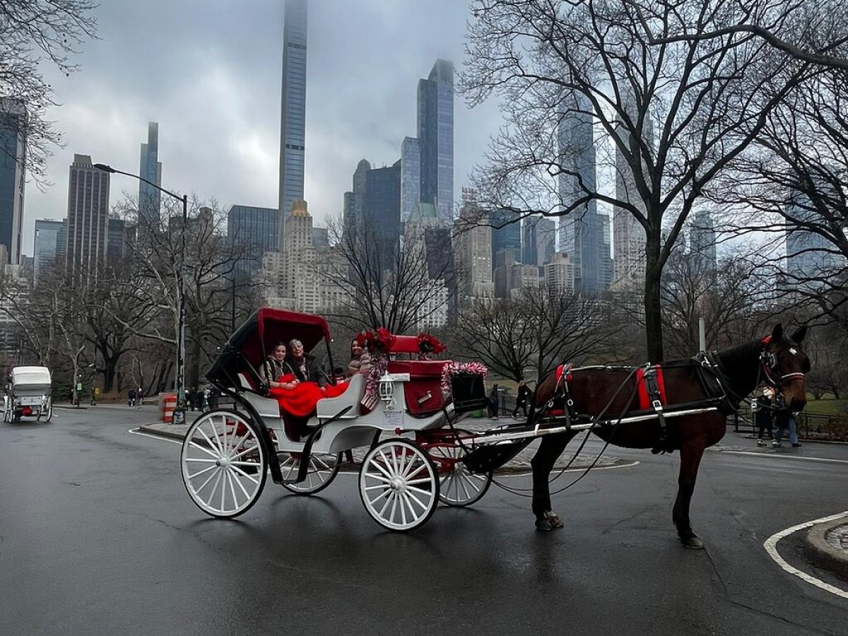 a close up of a horse drawn carriage