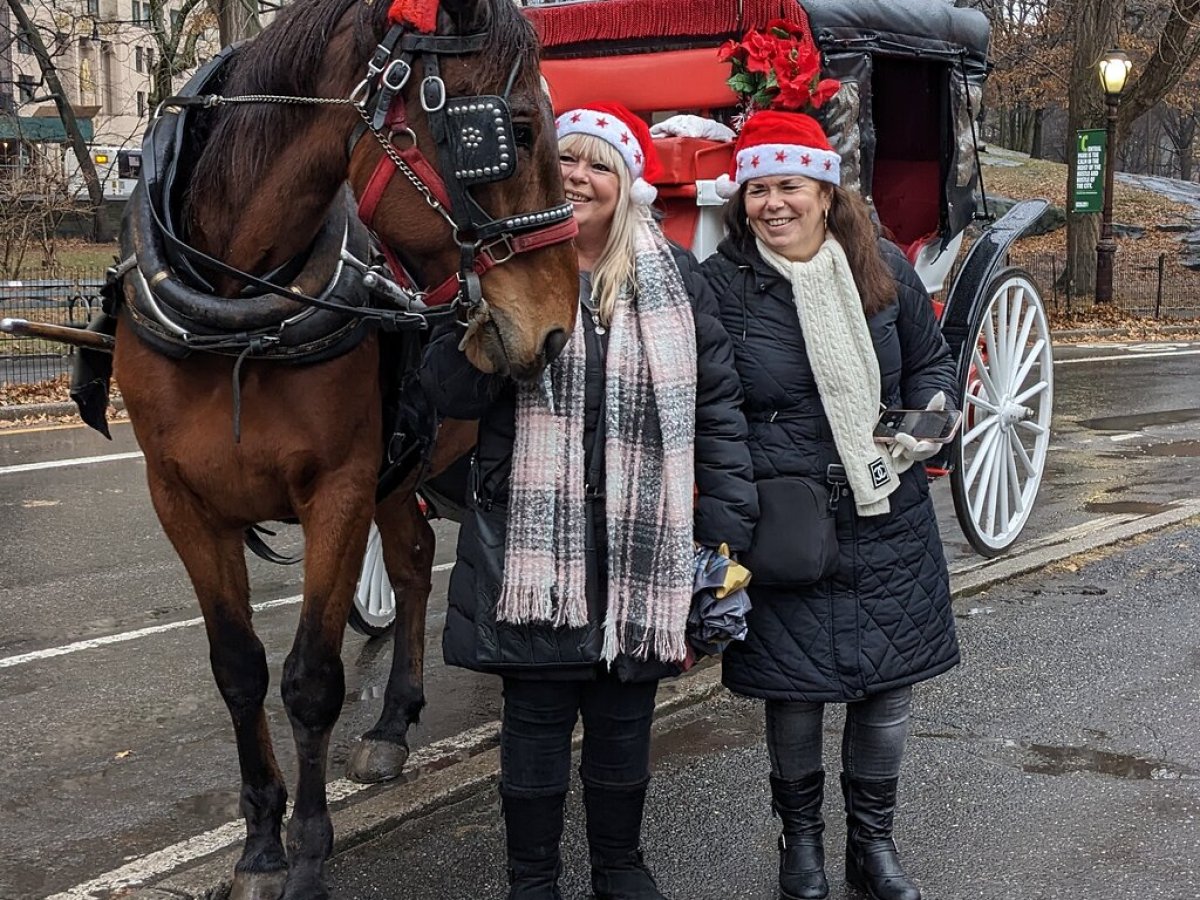 a group of people standing on top of a horse drawn carriage