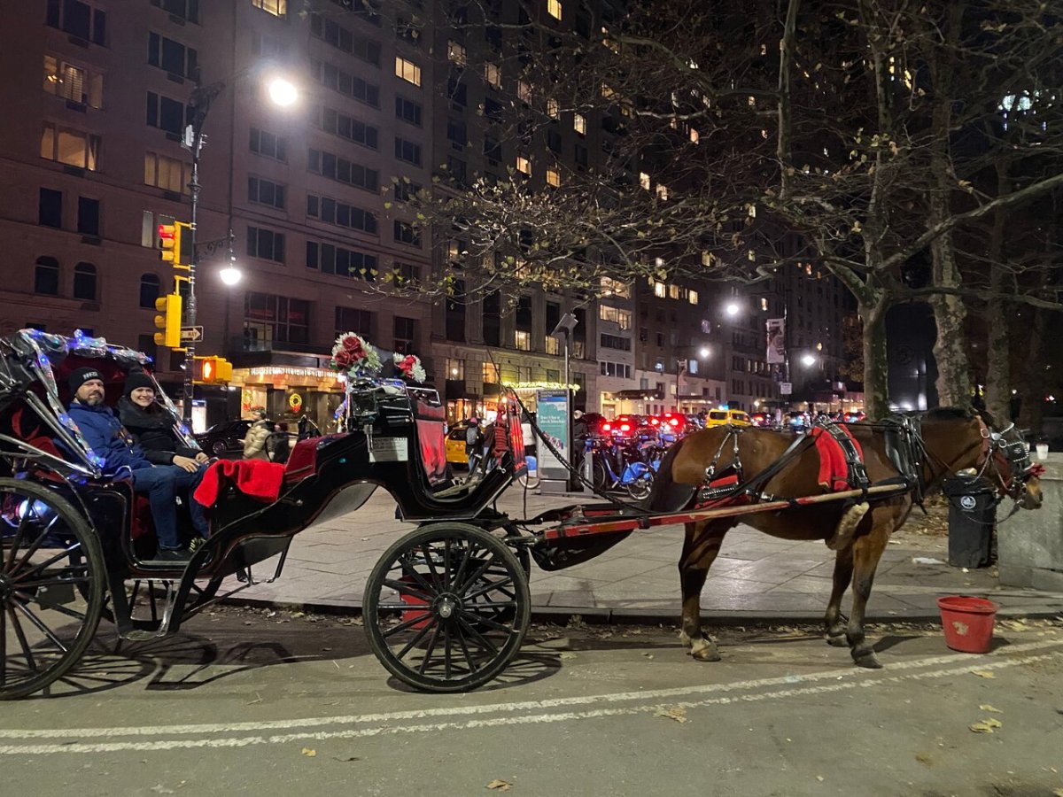 a close up of a horse drawn carriage on a city street