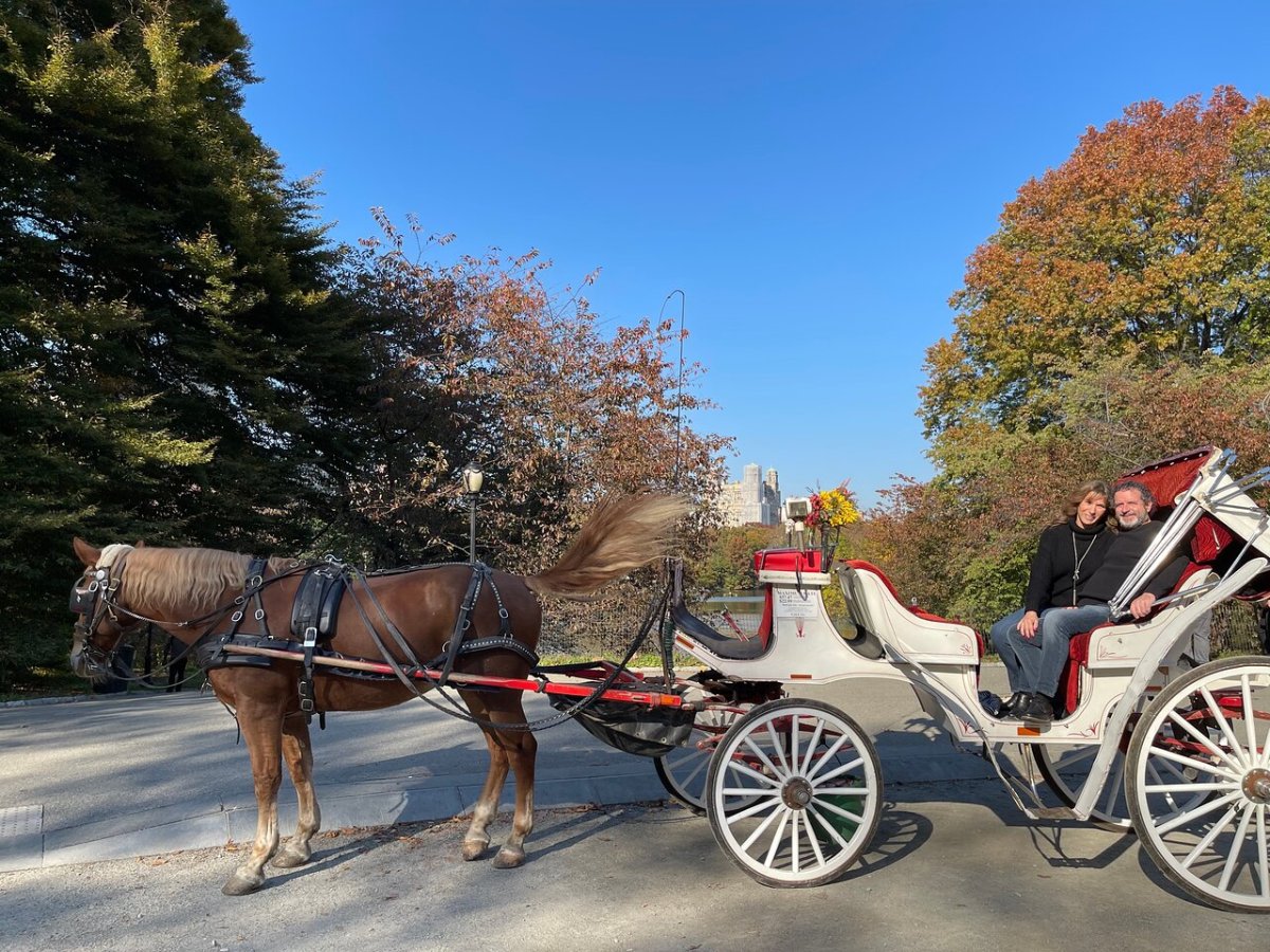 a man riding a horse drawn carriage