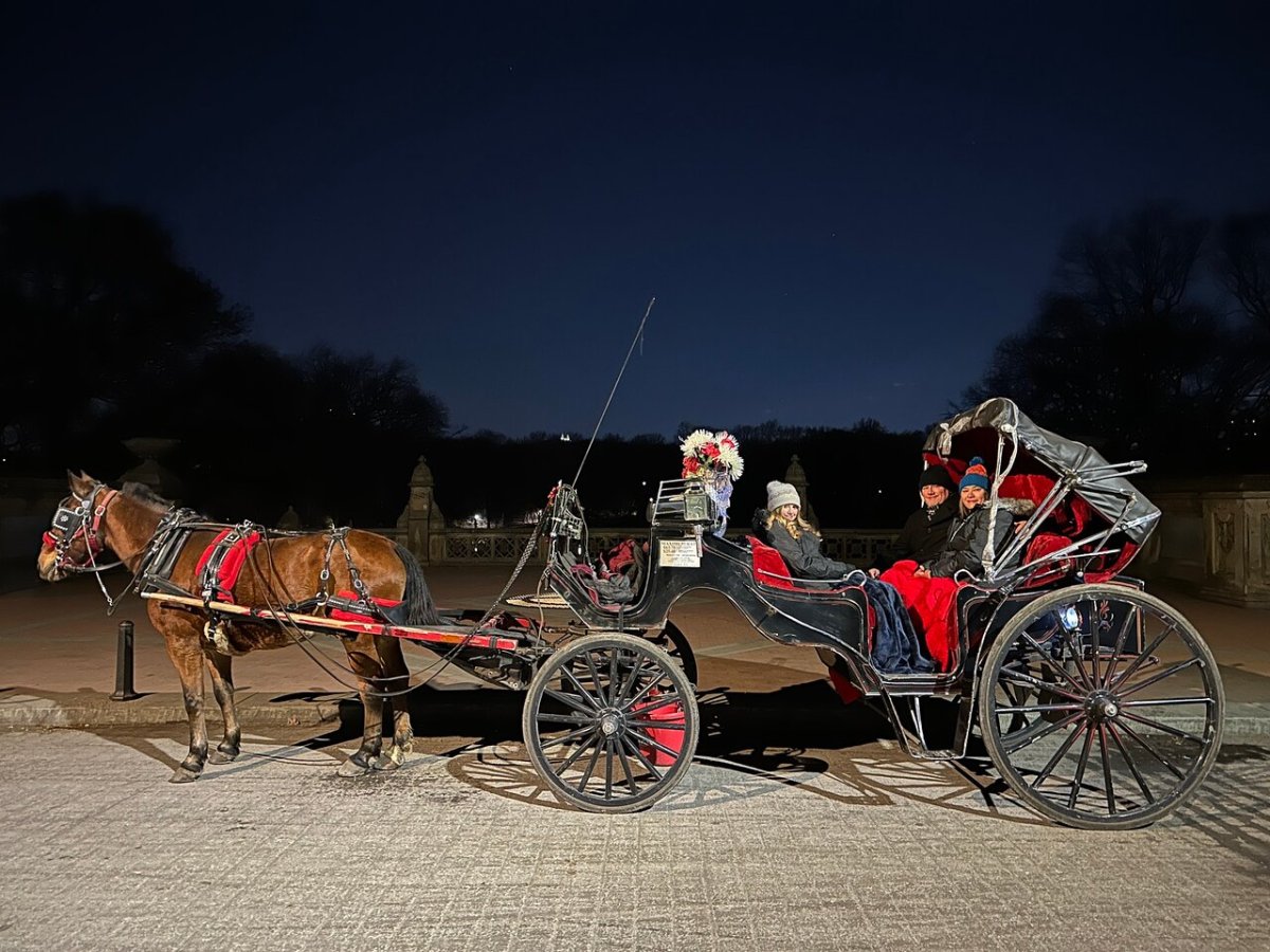a close up of a horse drawn carriage