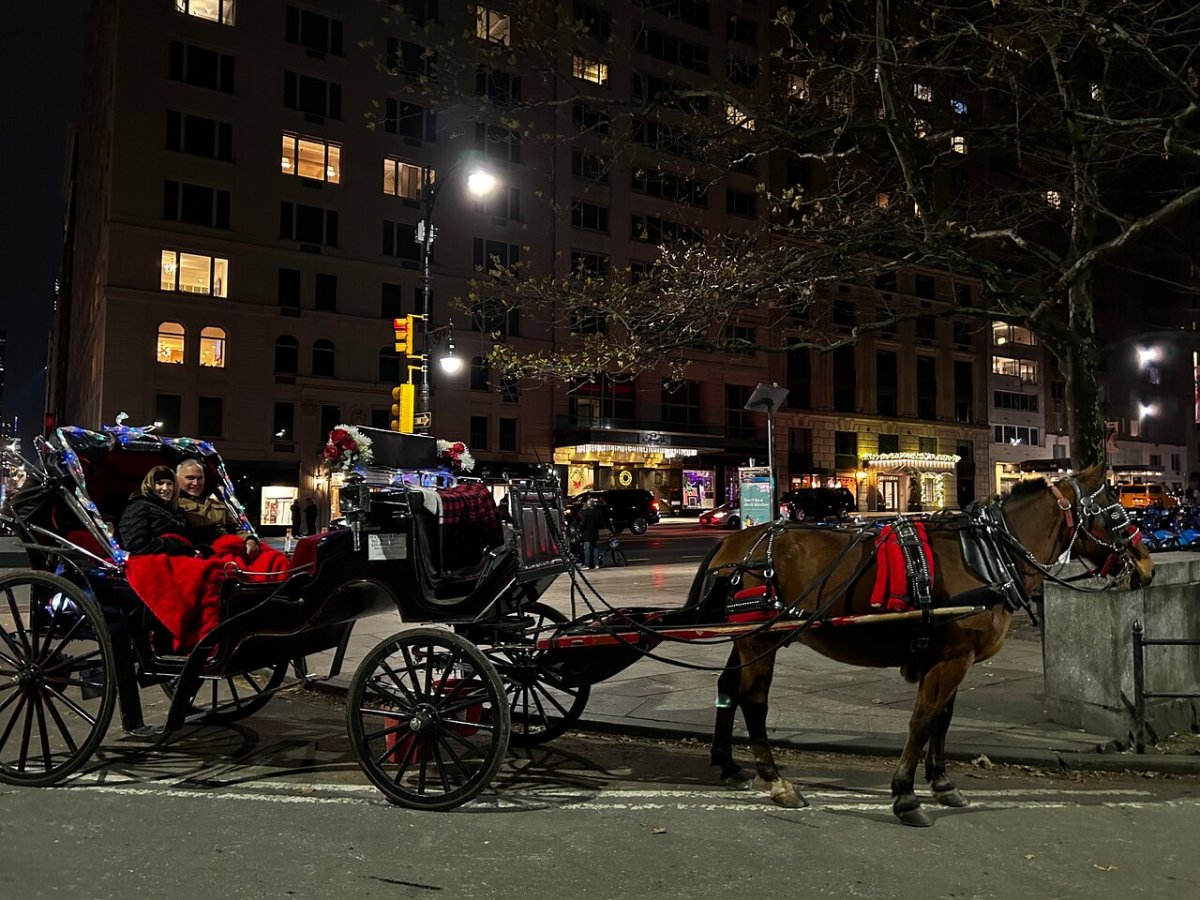 a close up of a horse drawn carriage on a city street