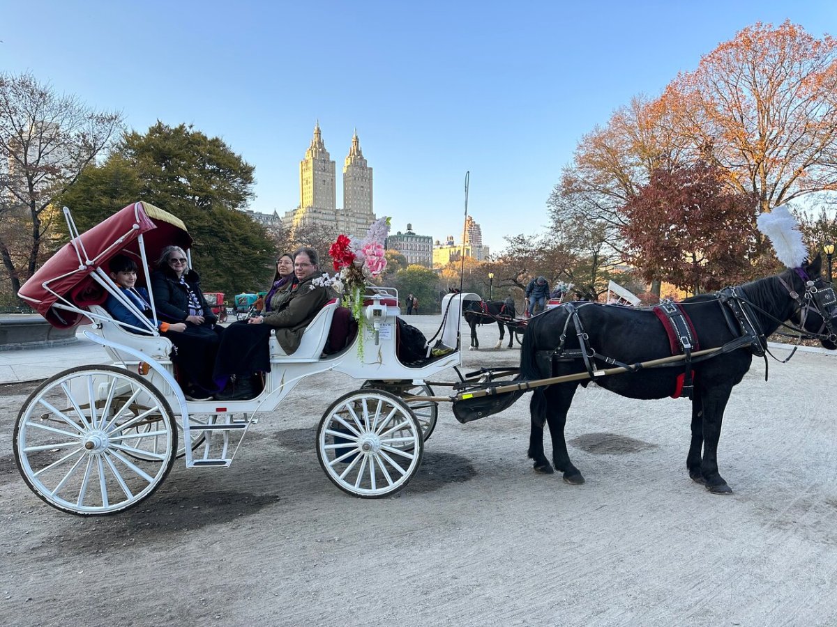 a man riding a horse drawn carriage