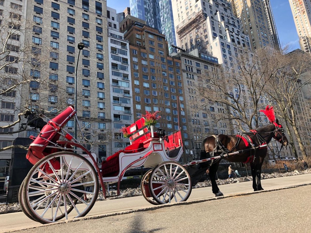 a close up of a horse drawn carriage in front of a building