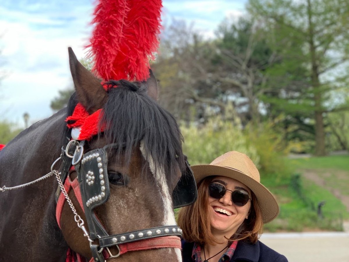 a horse wearing a hat